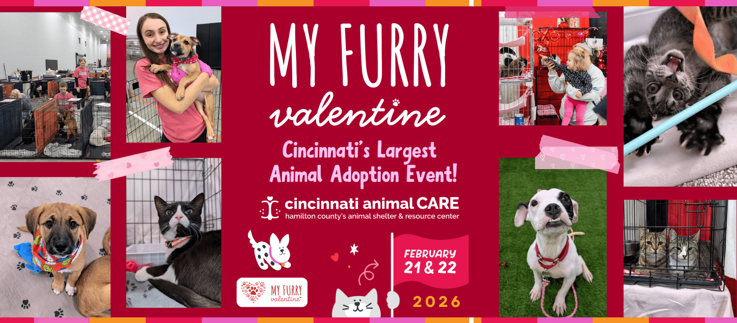 adopt a pet pet adoption