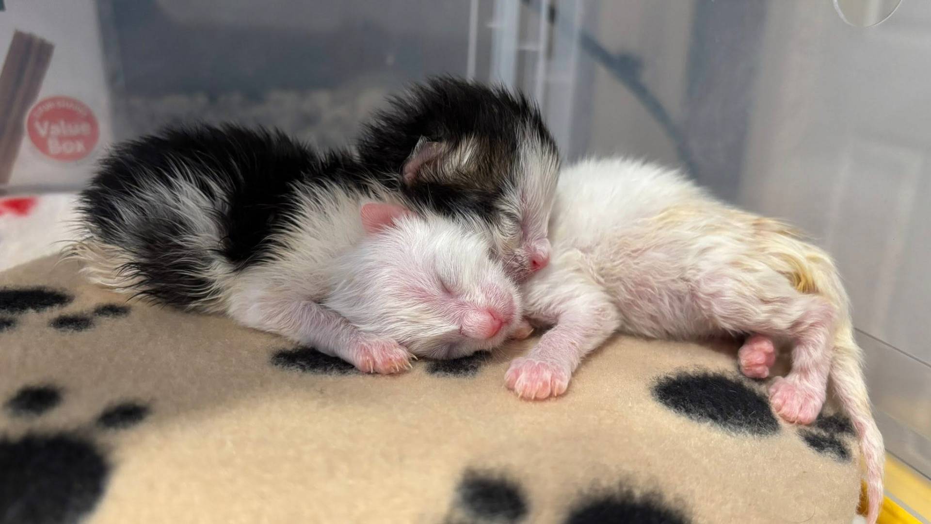 donate slider donate slider