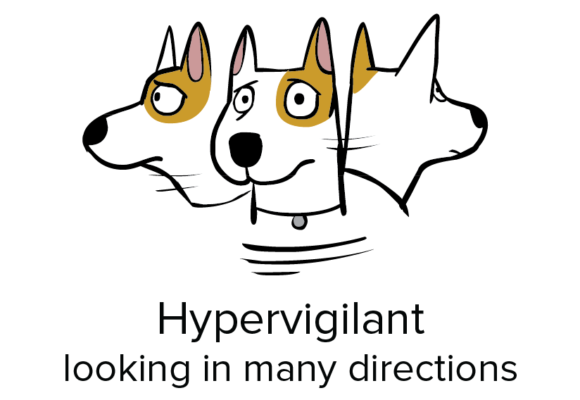 hypervigilant