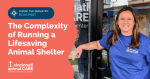 Cincinnati animal care lifesaving director meaghan collville