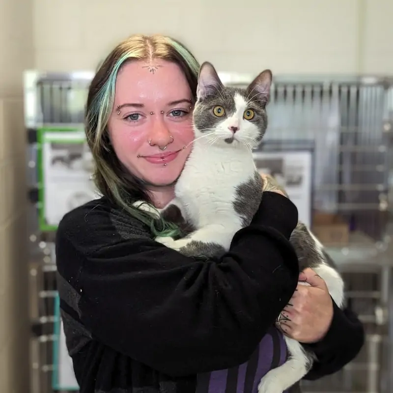 cincinnati animal cares cat care manager Brittney Wandsnider-Sivick holding a cat