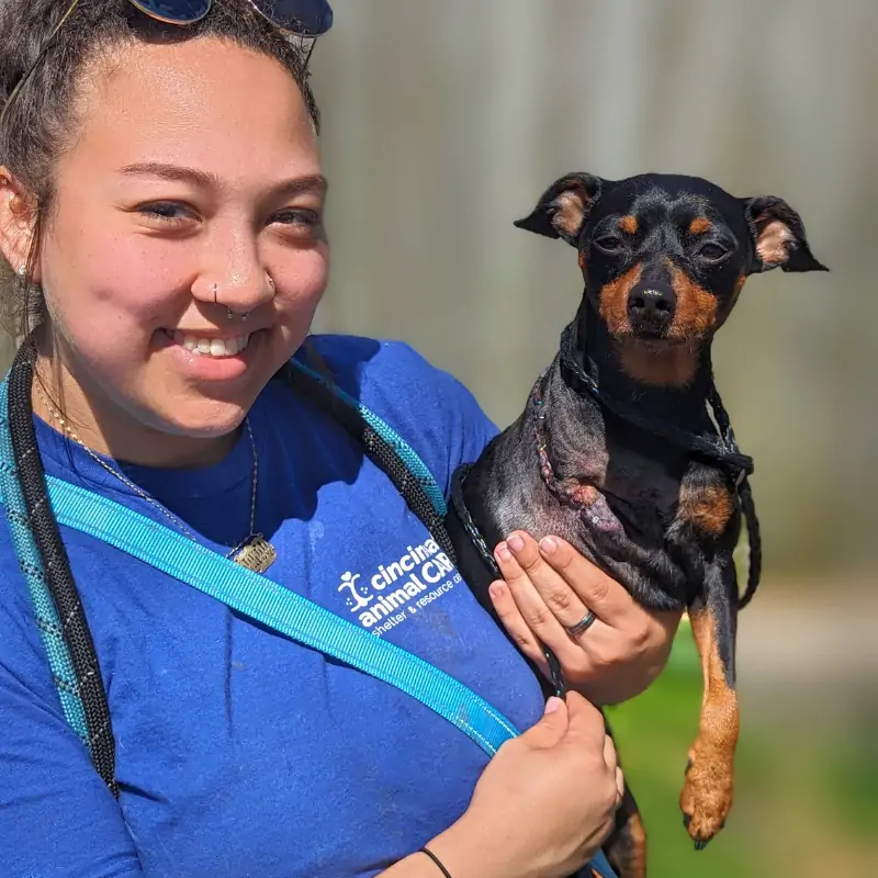 cincinnati animal care medical staff holding a small dog with recent leg amputation healing