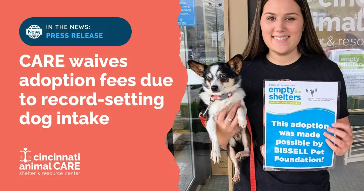 CAC Blog Post Feature Photos BISSELL waived adopt fees blog feature photo Cincinnati Animal CARE Waives Adoption Fees in Response to Population BISSELL pet foundation promo