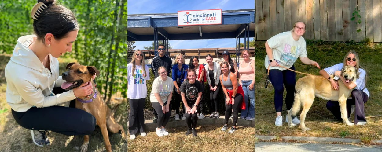 corporate group volunteer opportunities at cincinnati animal care