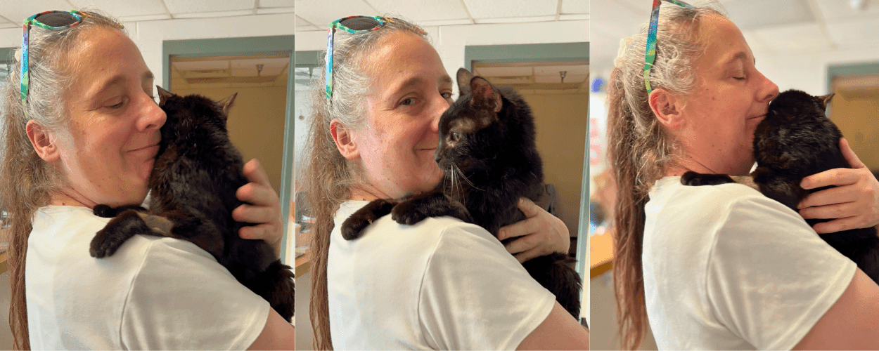 Lost Cat Nora Reunites with Owner After 2 Years