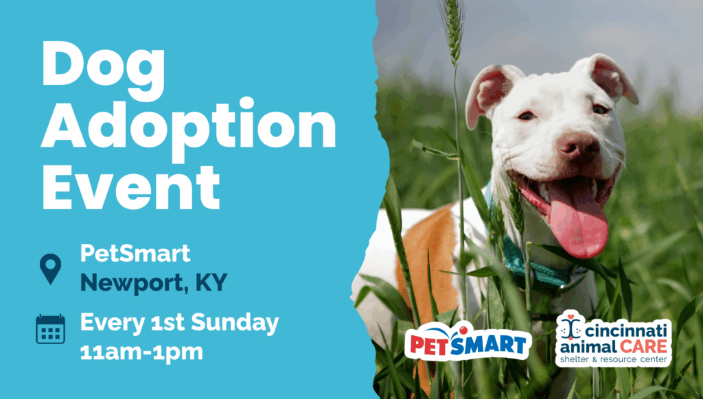 1st Sunday of the month Newport Kentucky Dog Adoption Event cincinnati animal care