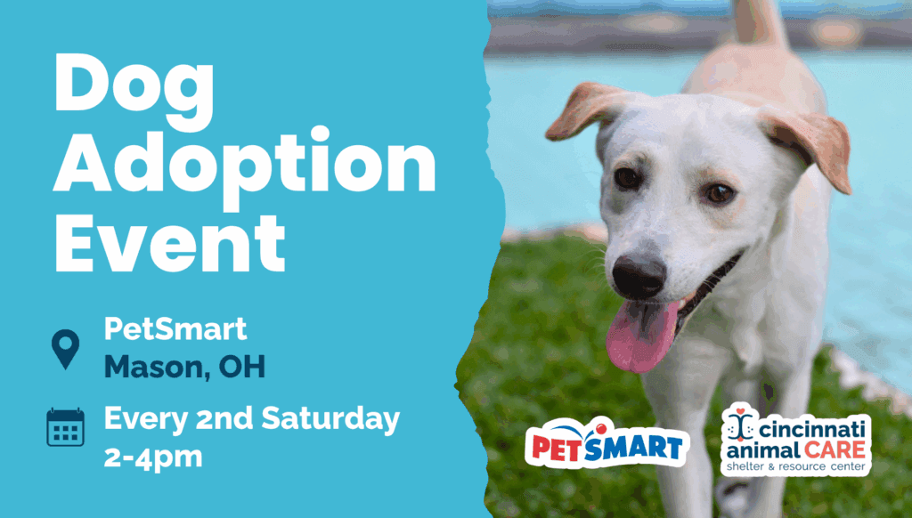 2nd Saturday of Month Mason OH Dog Adoption Event cincinnati animal care
