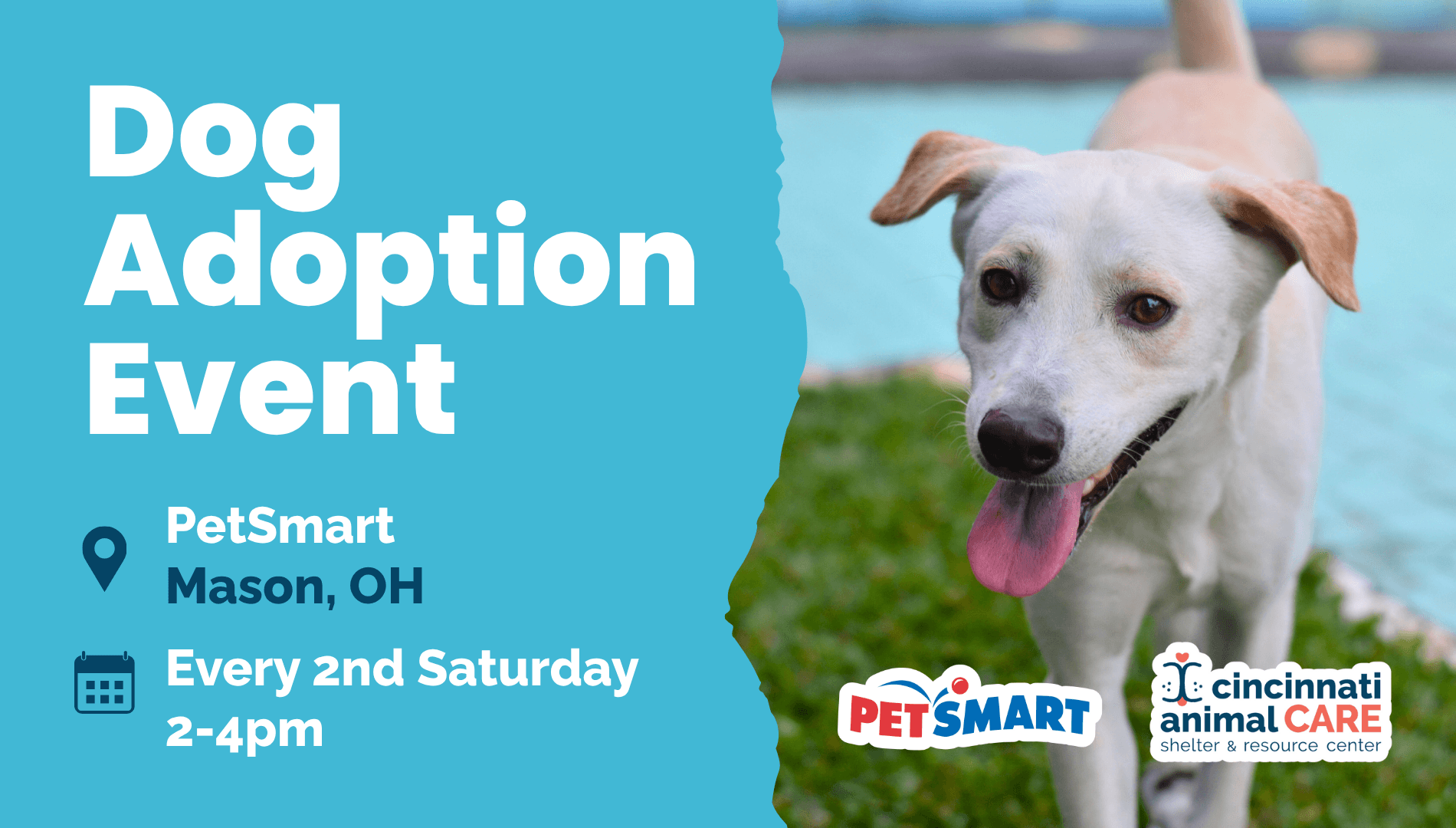2nd Saturday of Month Mason OH Dog Adoption Event cincinnati animal care