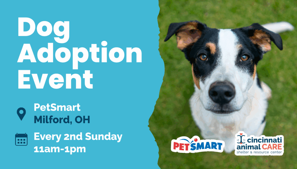 2nd Sunday of the month Milford Dog Adoption Event cincinnati animal care