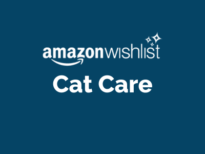 cat care amazon wishlist to donate
