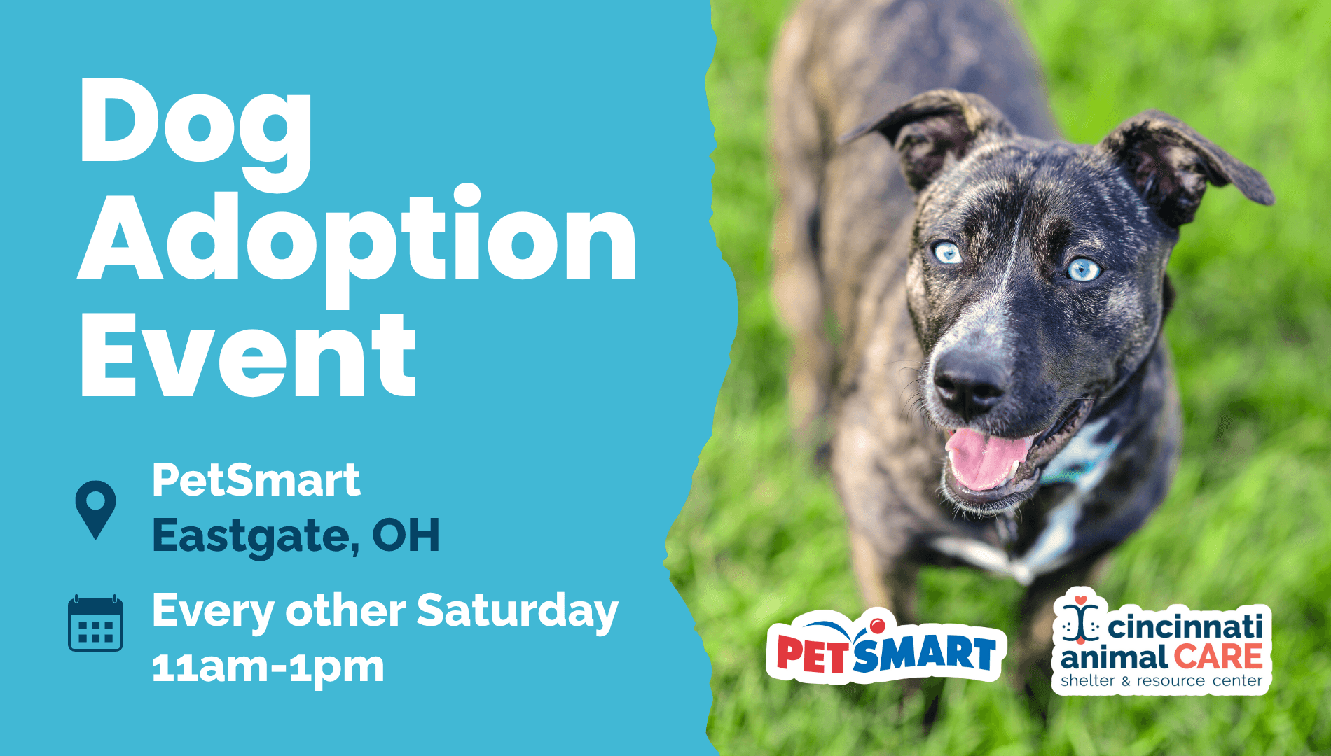 Every Other Saturday Eastgate Dog Adoption Event cincinnati animal care