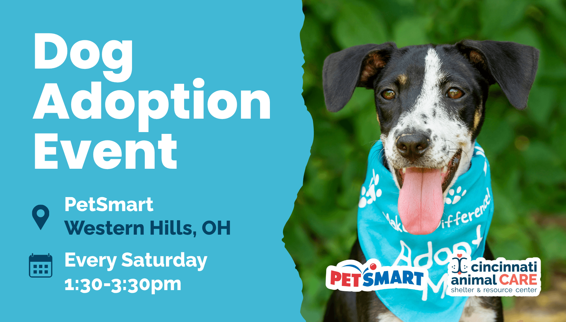 Every Saturday Western Hills Dog Adoption Event cincinnati animal care