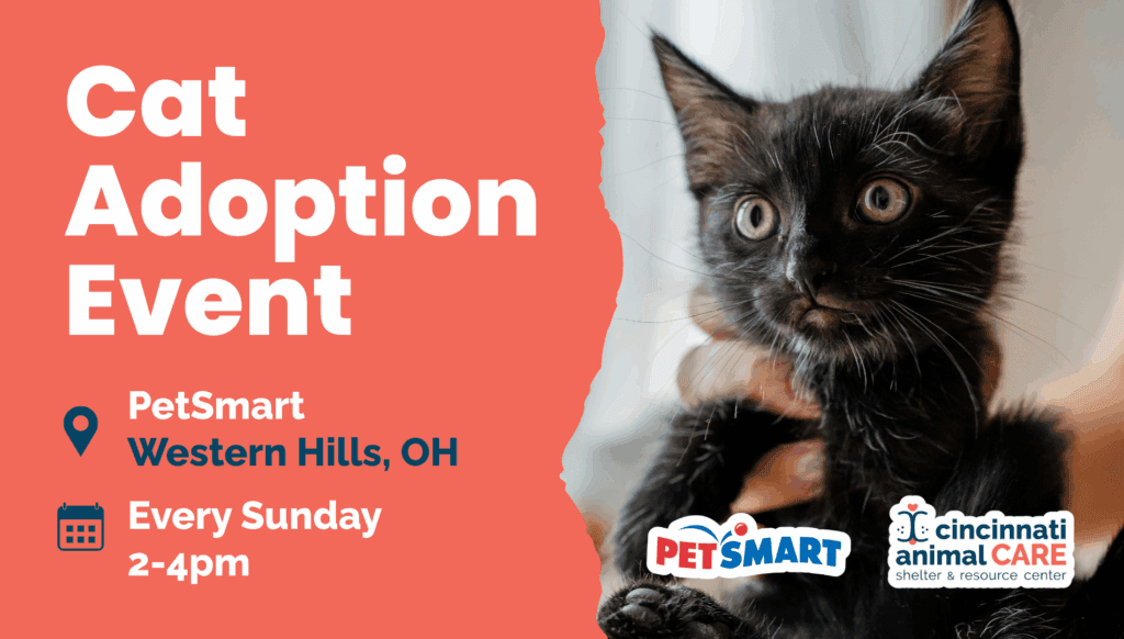 Every Sunday Western Hills Cat Adoption Event with cincinnati animal care