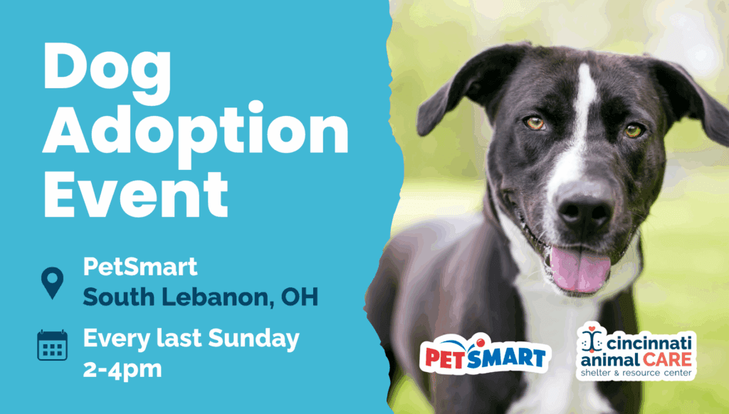 Last Sunday of the month South Lebanon Dog Adoption Event cincinnati animal care