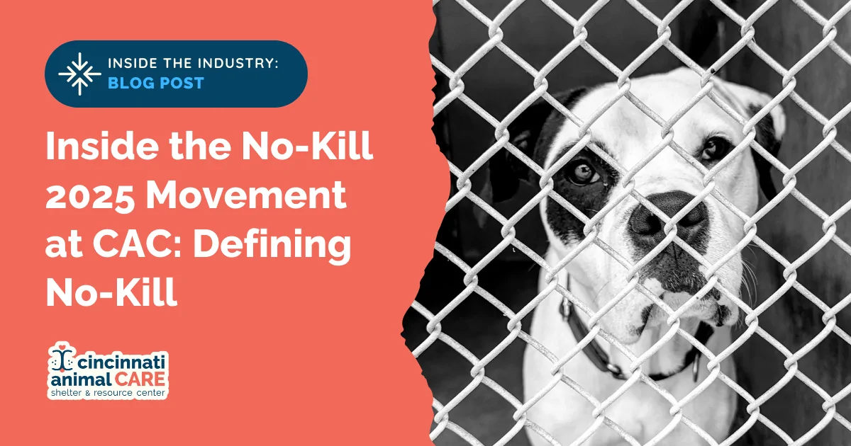 CAC Blog Post Feature Photos (11) inside the no-kill 2025 movement at cincinnati animal care