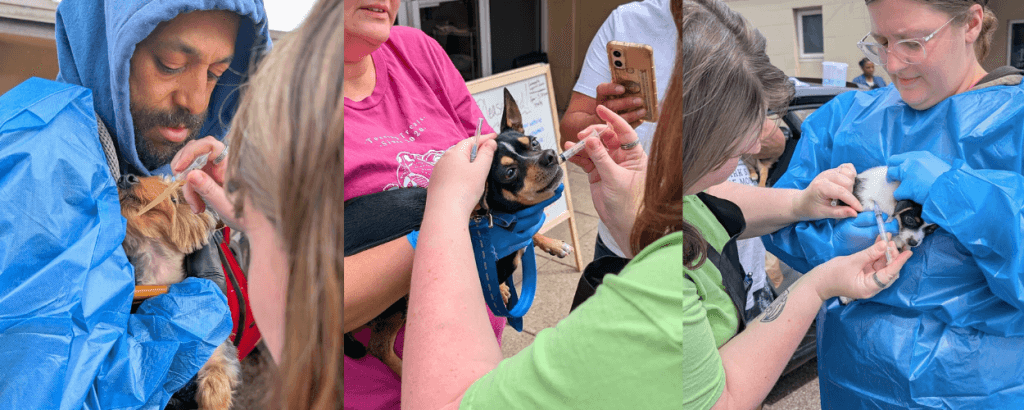 Low Cost Vaccine Clinic for dogs in cincinnati hamilton county ohio