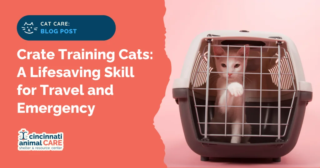crate training for cats