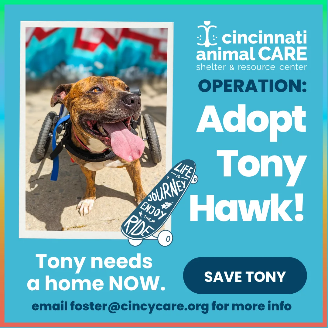 Tony Hawk Website Pop-up