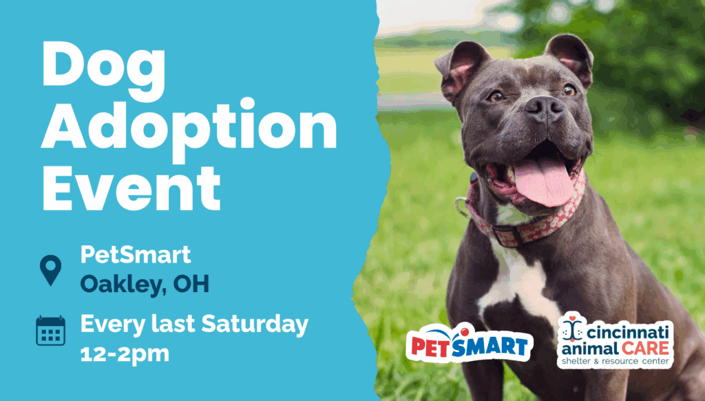 last saturday oakley ohio petsmart dog adoption event cincinnati animal care