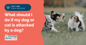 what to do if my dog is attacked by another dog in cincinanti hamilton county ohio