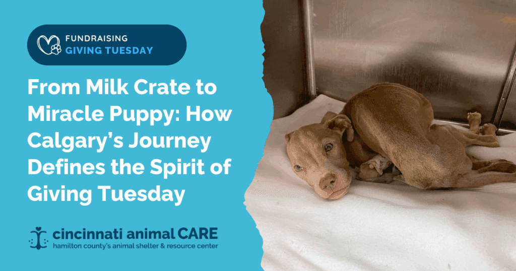 CAC Blog Post Feature Photos 2