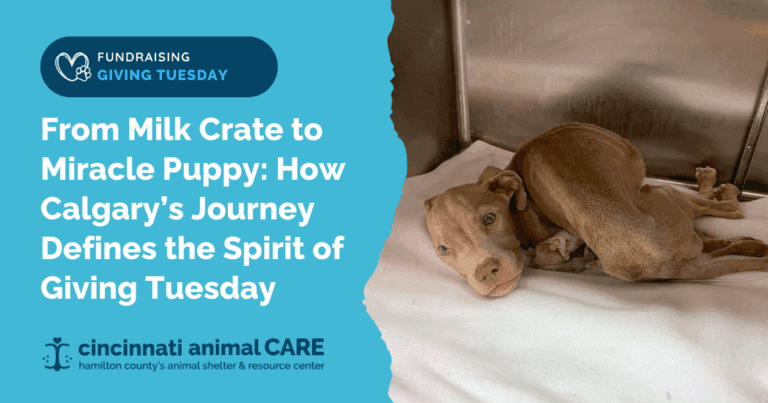 CAC Blog Post Feature Photos (2)