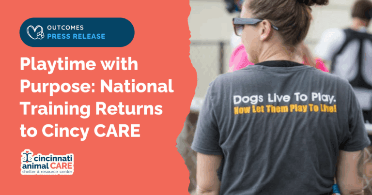 dogs playing for life returns to cincinnati animal care