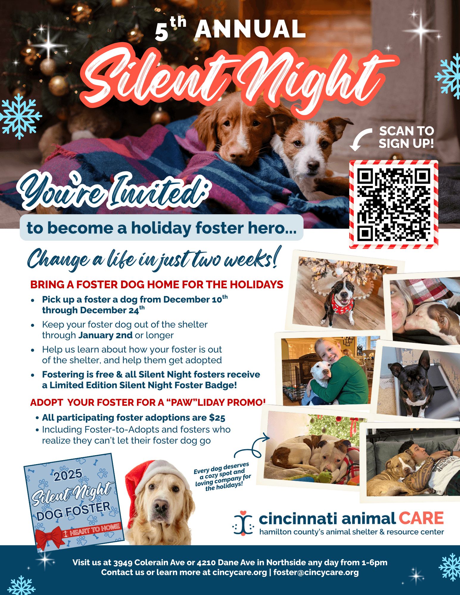 Silent Night foster program cincinnati animal care 5th annual