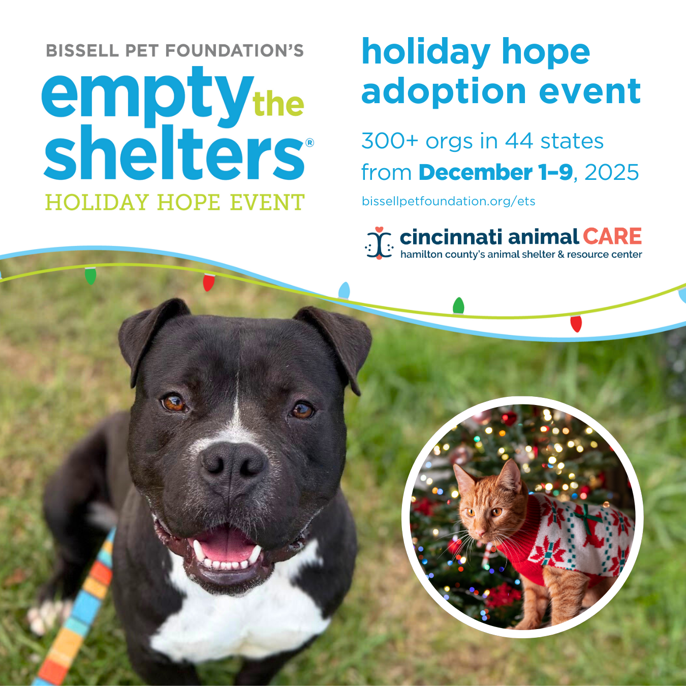 BISSELL pet foundation holiday hope adoption event cincinnati animal care