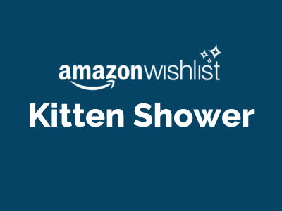 Kitten Shower