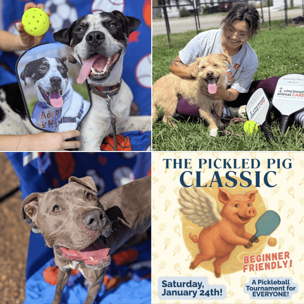 Pickled Pig Classic Charity Pickleball Tournament 2025 benefitting cincinnati animal care