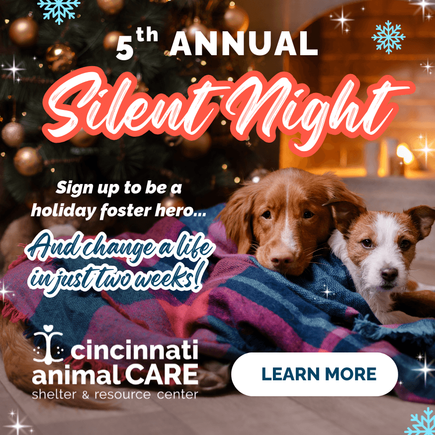 5th annual silent night foster home program cincinnati animal care 2025