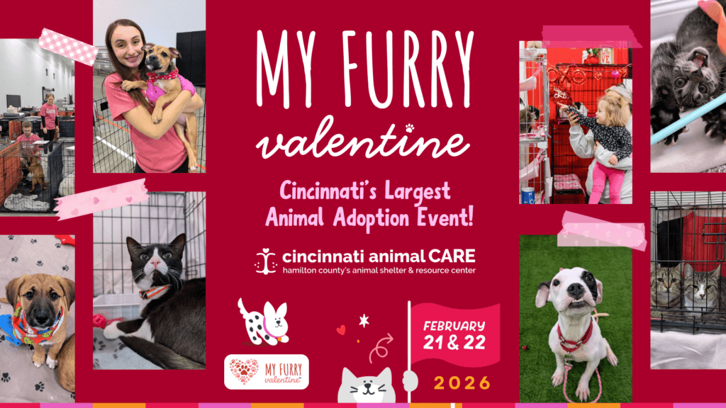 my furry valentine 2026 cincinnati animal care