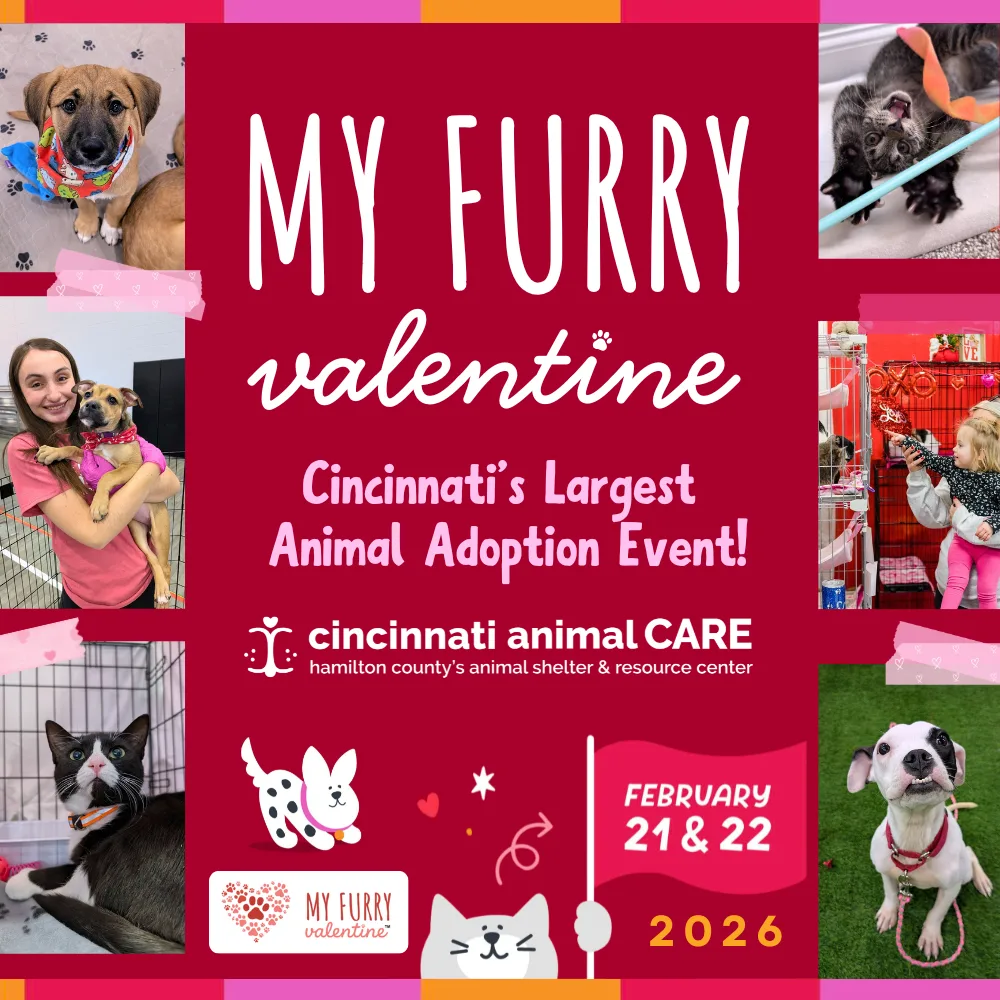 my furry valentine 2026 cincinnati animal care in hamilton ohio