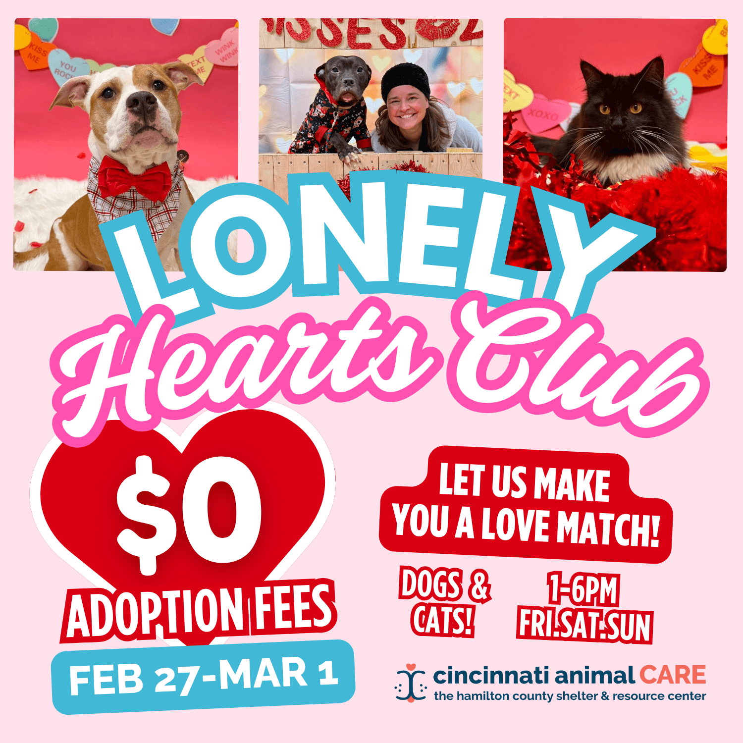 lonely hearts club adoption promo cincinnati animal care february 2026