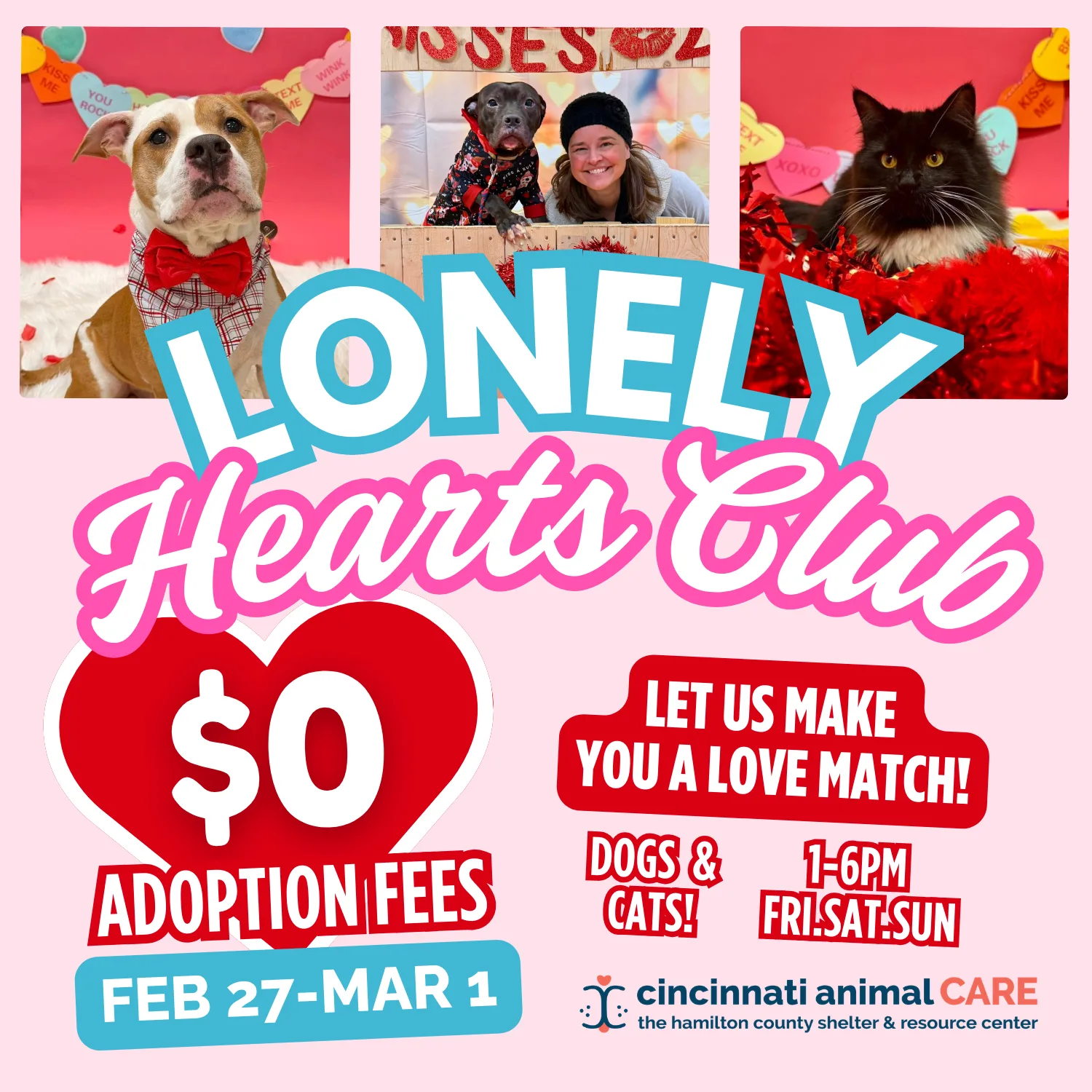 lonely hearts club adoption promo cincinnati animal care february 2026