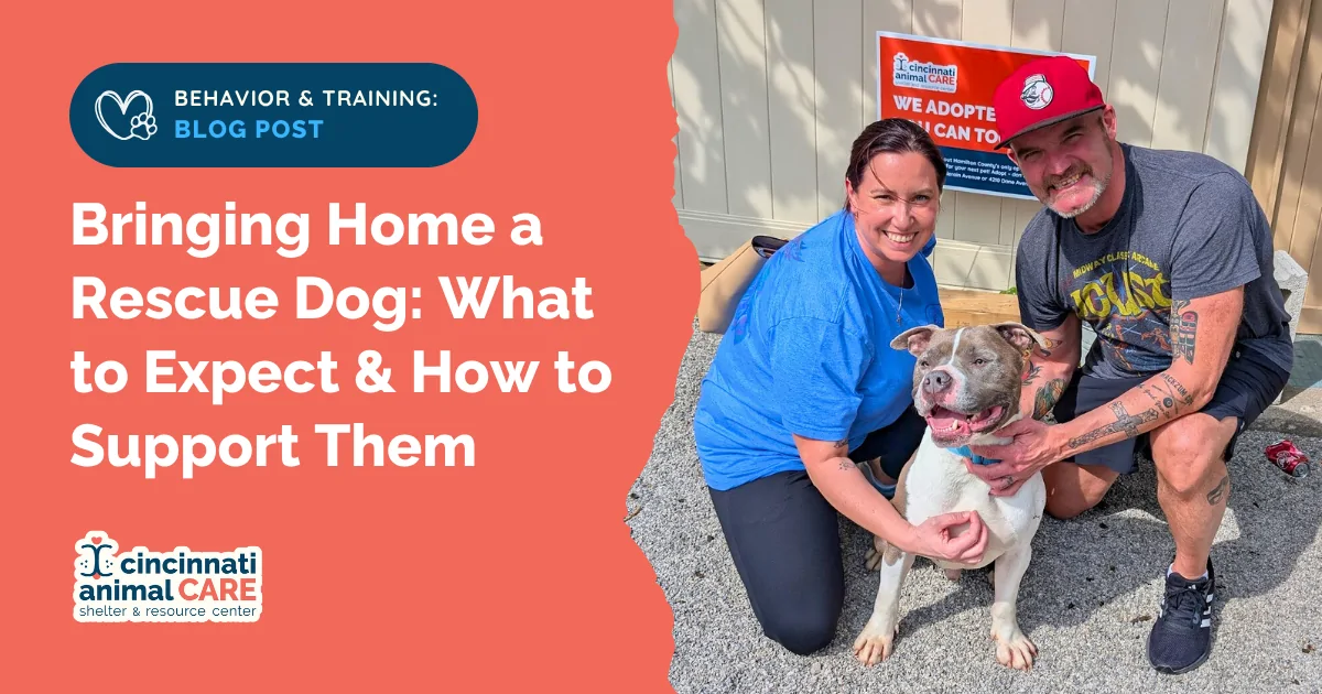 blog post feature photo showing a smiling white and grey dog in the middle of his new adopters
