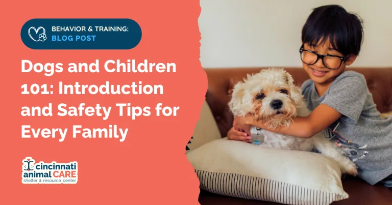 blog post feature photo showing a smiling child hugging a small fluffy dog on a couch with the dog looking slightly uncomfortable