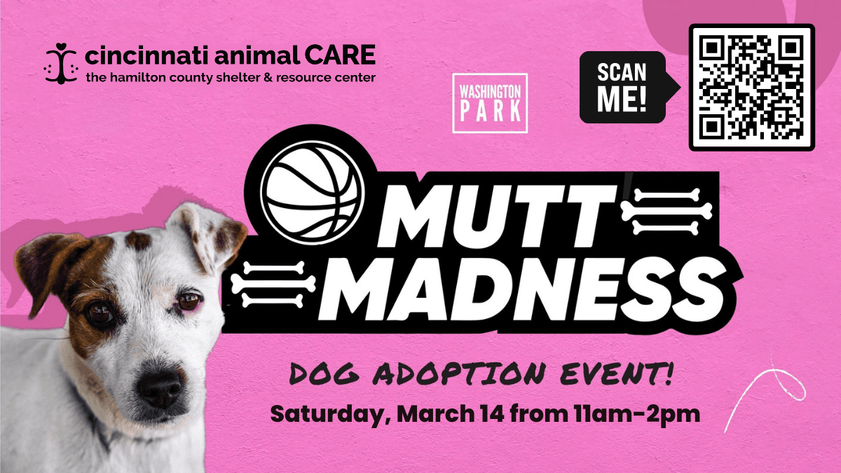 Mutt Madness adoption event 2026 featuring cincinnati animal care event rgaphic