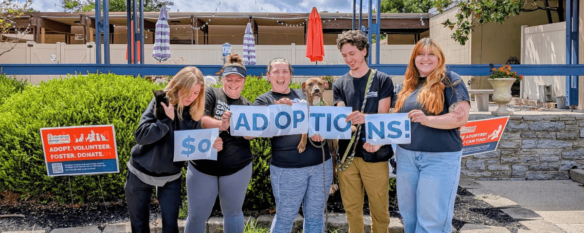 five cincinnati animal care staff holding a puppy and kitten highlight $0 adoption weekend