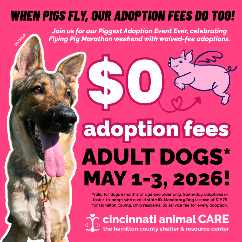 piggest adoption event ever cincinnati animal care