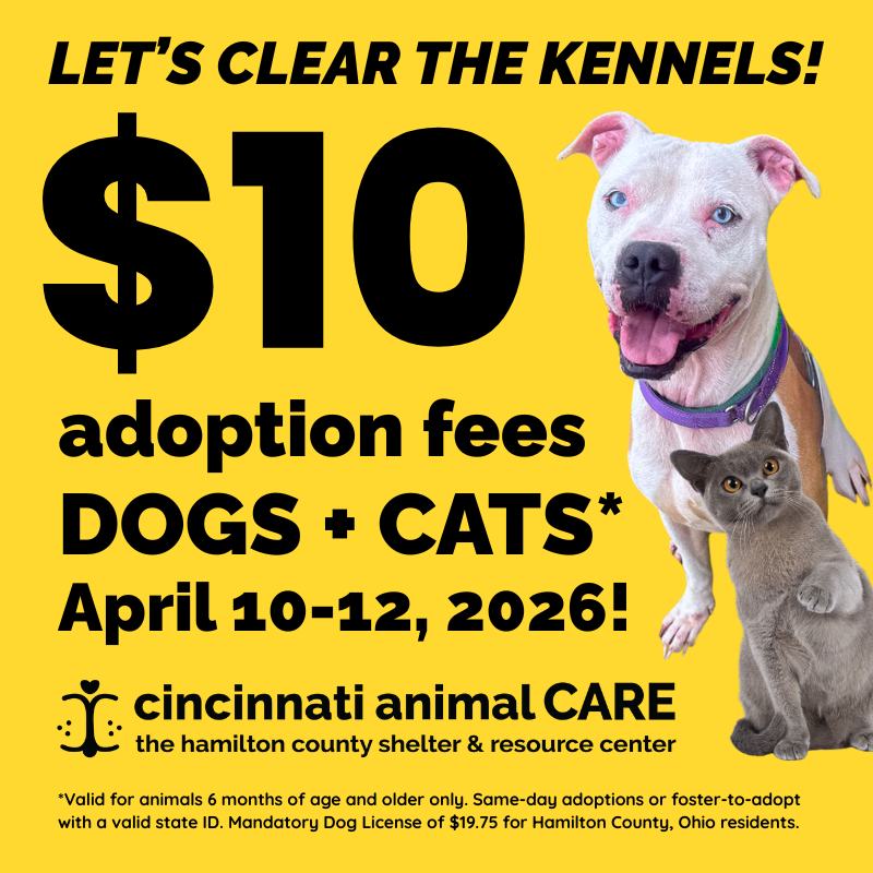 event graphic for clear the kennels adoption promotion april 10-12 at cincinnati animal care
