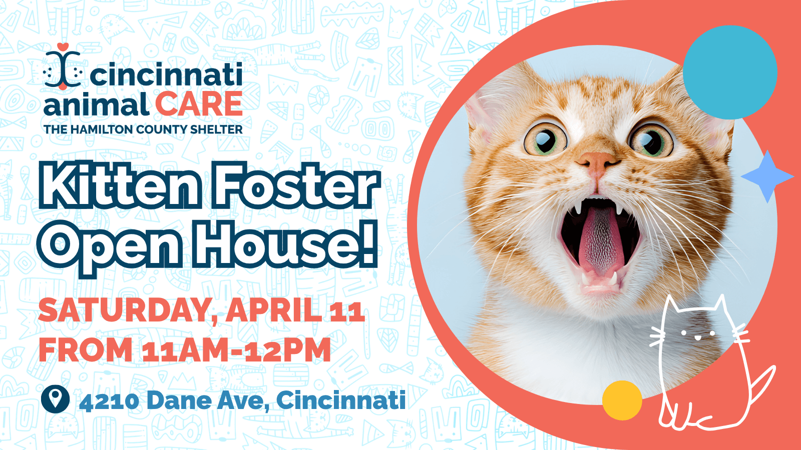 kitten foster open house cincinanti animal care