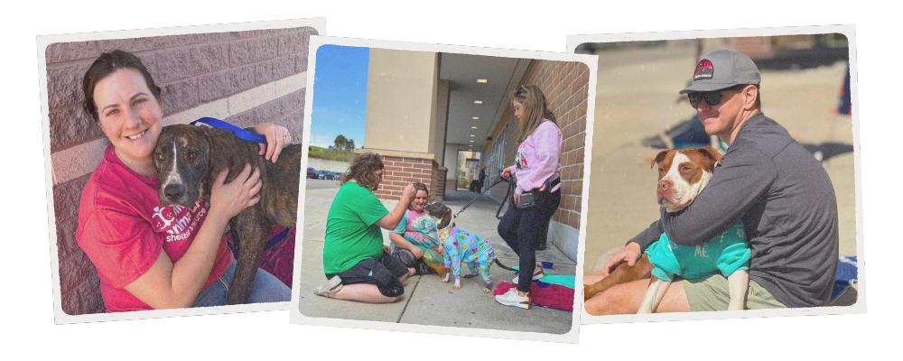 tryptich of photos showing shelter dogs at adoption events