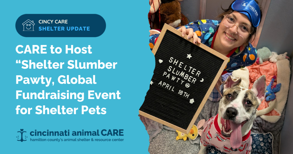blog post feature photo announcing cincinnati animal care participation in 2026 shelter slumber pawty