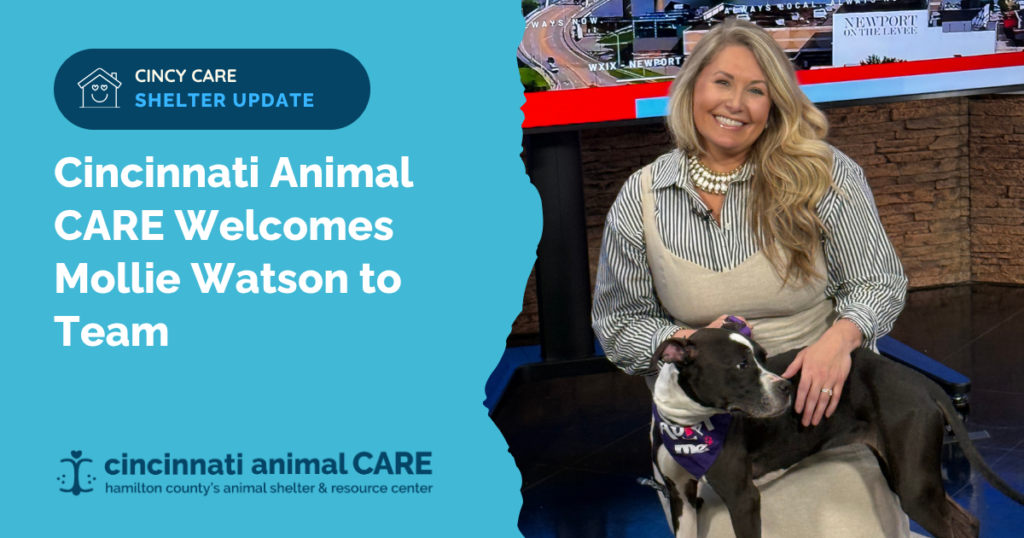Cincinnati Animal CARE Welcomes Mollie Watson to Team