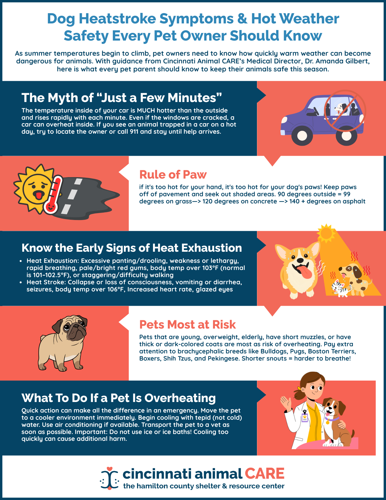 Dog Heatstroke Symptoms and Hot Weather Safety Every Pet Owner Should Know (1)