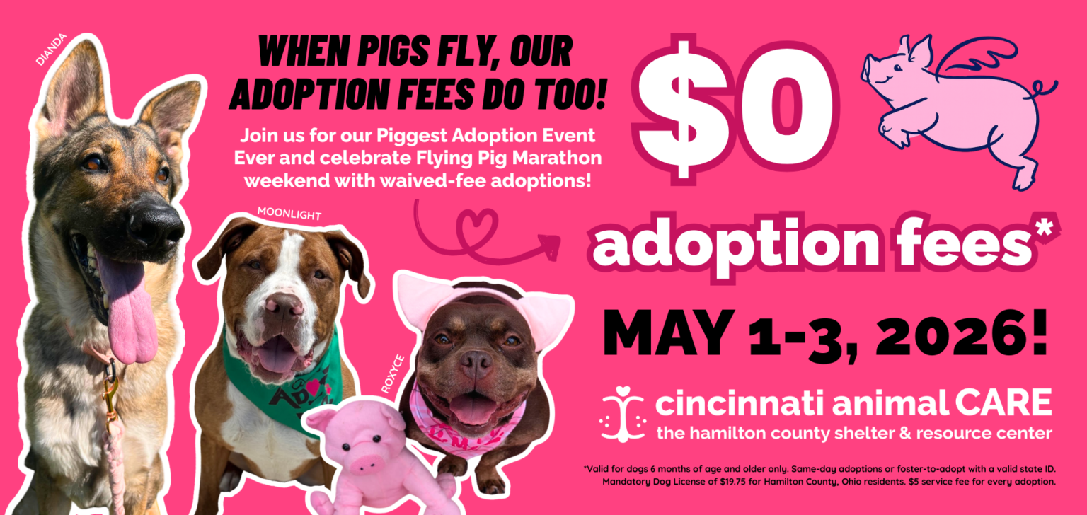 piggest adoption event ever at cincinnati animal care may 1-3 2026