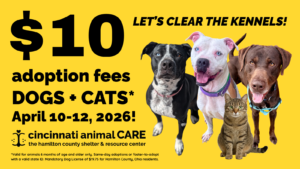 Facebook Event Graphic 10 adoption promo