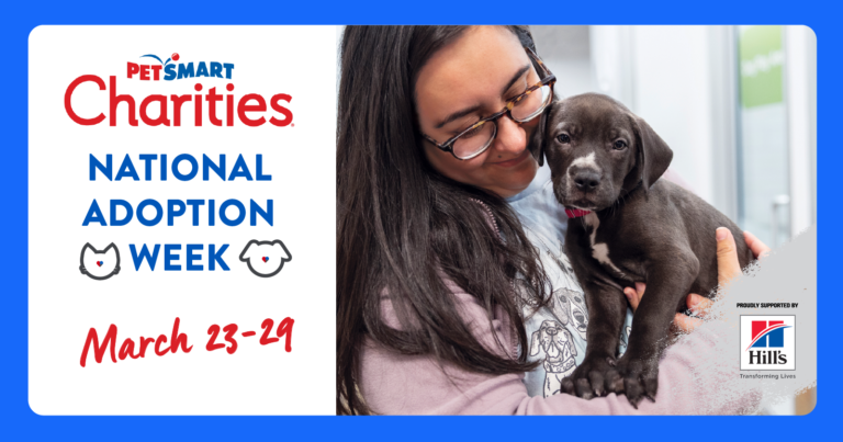 petsmart national adoption week event graphic
